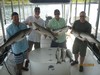 (07/31/2016) - Nice Striped Bass
